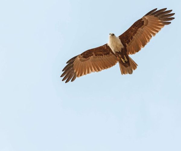 Circumnavigate Magnetic Island's Famous Five-3